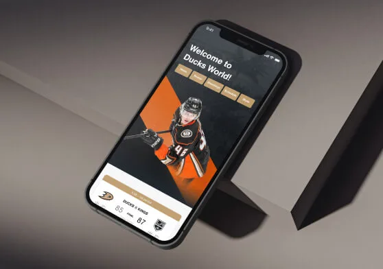 Mobile App Design